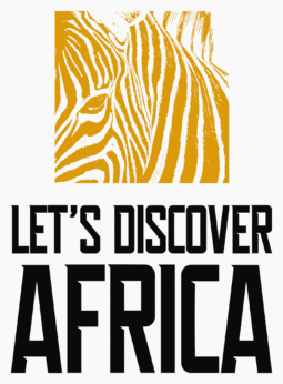 Let's discover africa logo