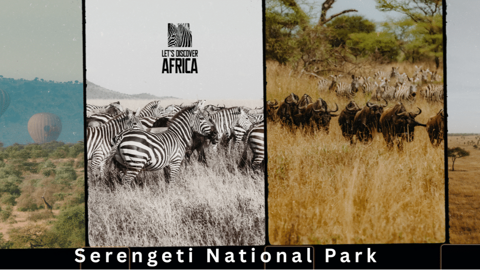 Serengeti