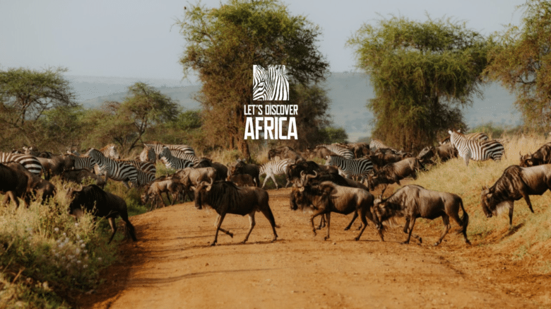 Great Migration wildebeest herds crossing Serengeti plains in Tanzania