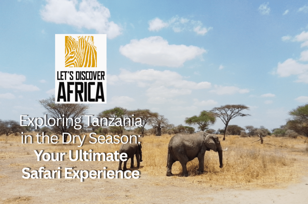 Dry Season Safari Tanzania1 - Lets Discover Africa Dry Season Safari Tanzania