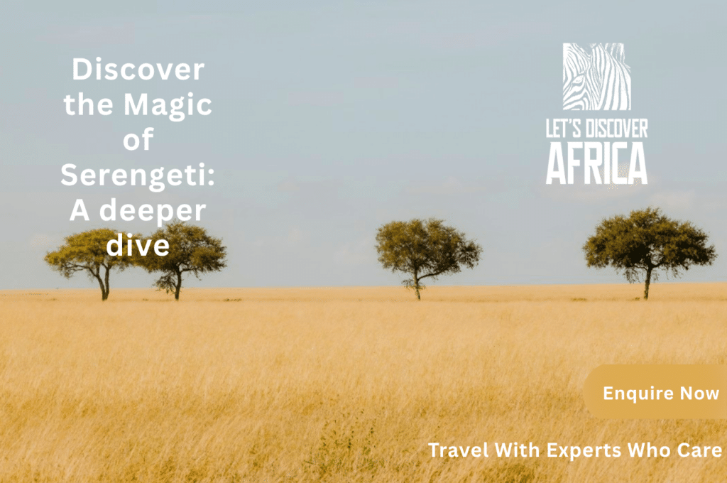 Discover the Magic of Serengeti A deeper dive