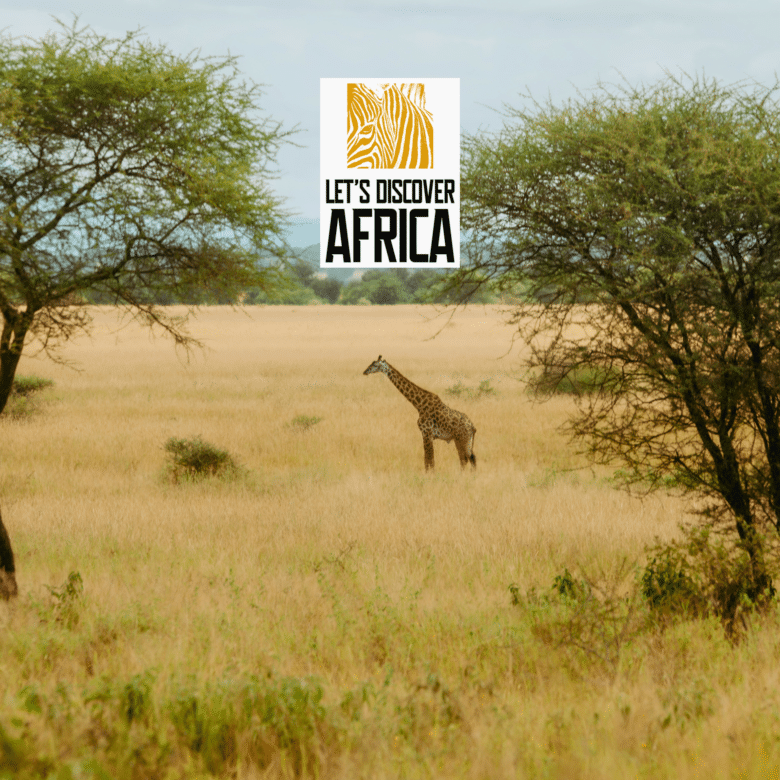 Travel Trends in Tanzania to Watch in 2026