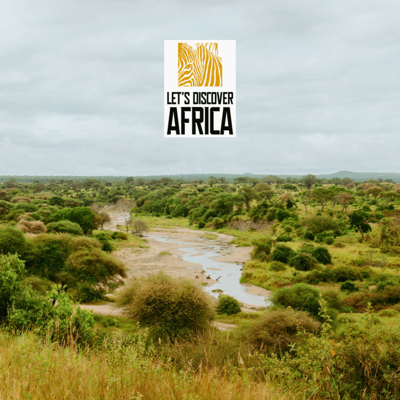 Tanzania Safari