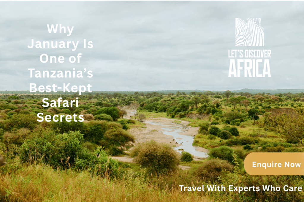Tanzania Safari
