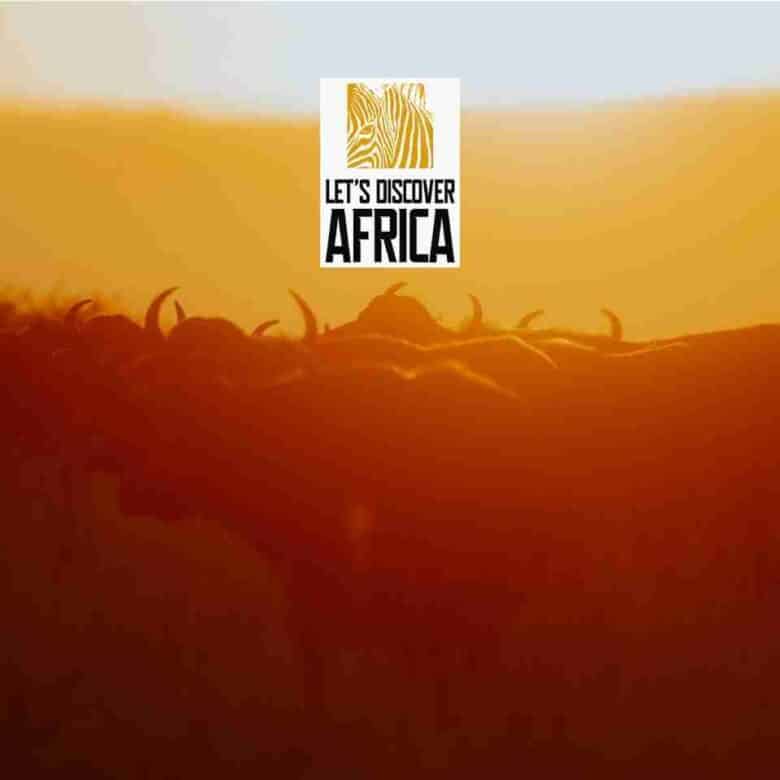 Center logo reading 'Let's Discover Africa' over an orange desert-like landscape with a warm gradient background, suggesting African travel content.