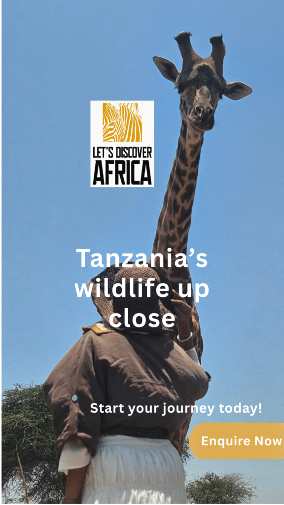 Tanzania Safari - Lets Discover Africa Tanzania Safari