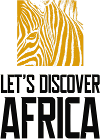 Logo featuring an orange zebra-striped motif above the bold text 'LET'S DISCOVER AFRICA'.