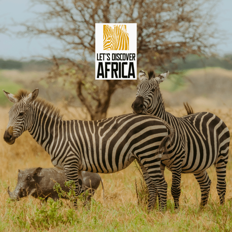 Tanzania Safari