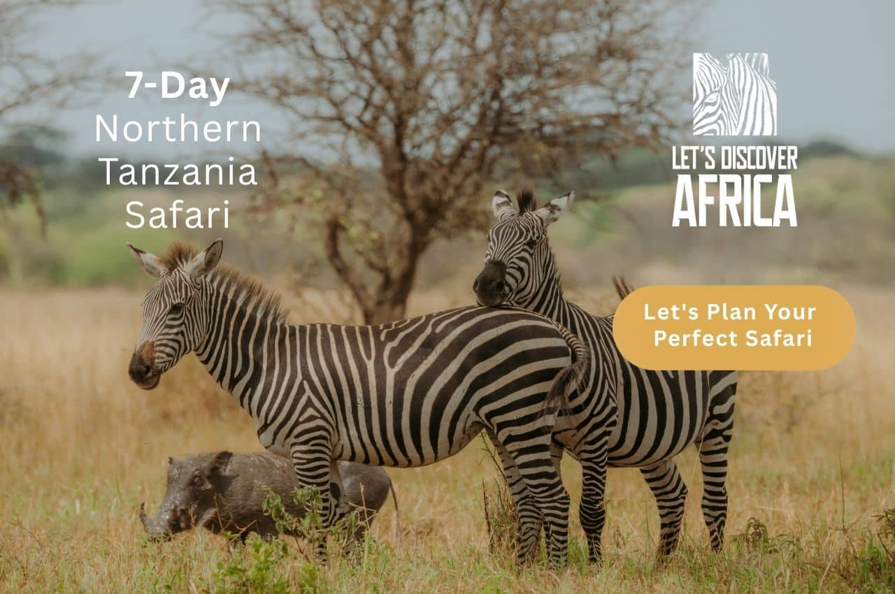 Northern Tanzania Safari - Lets Discover Africa Northern Tanzania Safari