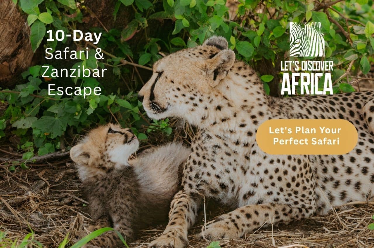 Safari Zanzibar Escape - Lets Discover Africa Safari Zanzibar Escape