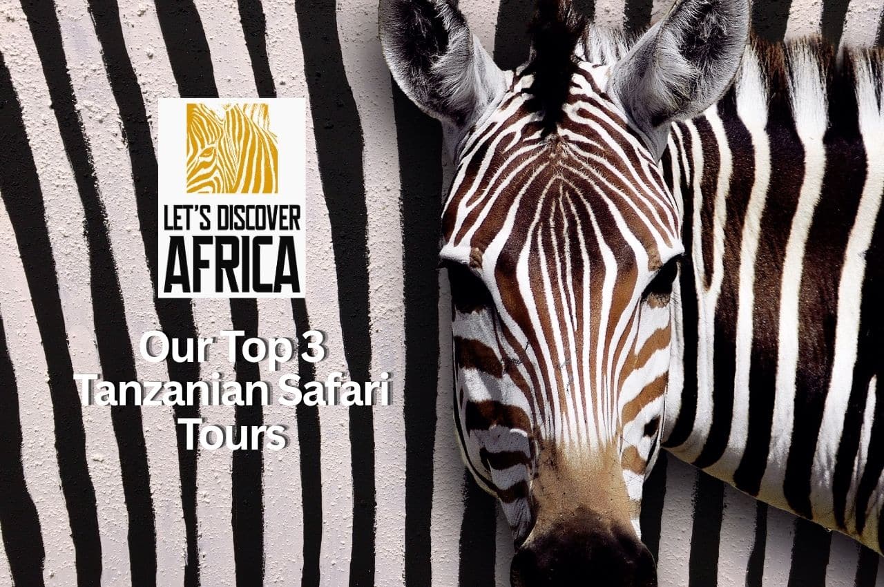Top Tanzania Safari Tours - Lets Discover Africa Top Tanzania Safari Tours