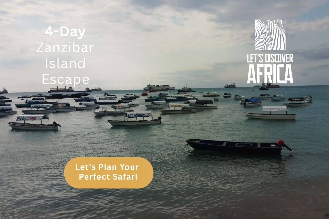Zanzibar Island Escape - Lets Discover Africa Zanzibar Island Escape